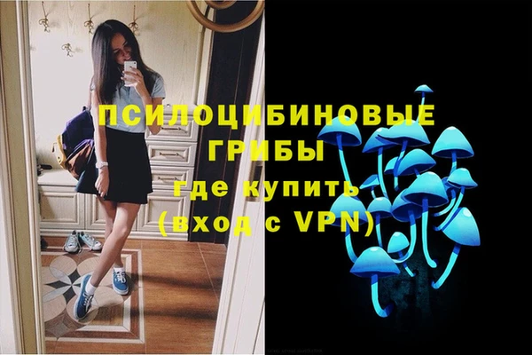 кристаллы Бородино